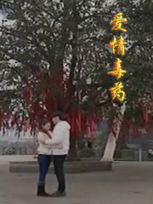 爱情毒药 爱情毒药