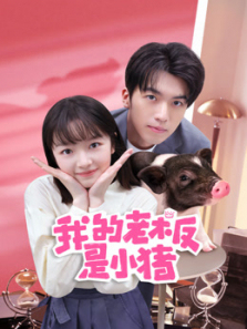 我的老板是小猪 我的老板是小猪