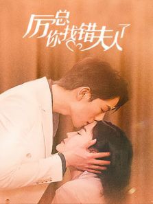 厉总你找错夫人了 厉总你找错夫人了