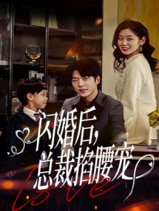 闪婚后总裁掐腰宠 闪婚后总裁掐腰宠