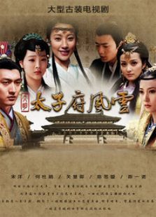 大明太子府风云 大明太子府风云