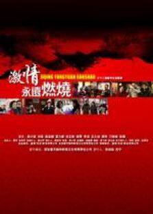 激情永远燃烧电视剧全集