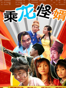 乘龙怪婿 乘龙怪婿
