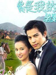 你是我的老婆电视剧全集