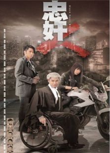 忠奸人 忠奸人