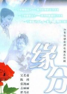 缘分的天空 缘分的天空
