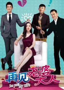 再见老婆大人 再见老婆大人