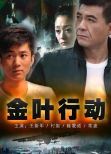 金叶行动 金叶行动