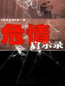 危情启示录 危情启示录