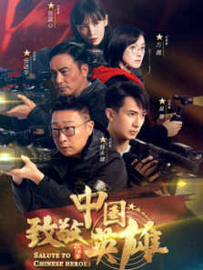 致敬中国英雄 致敬中国英雄