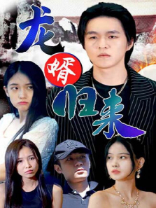龙婿归来 龙婿归来