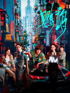 鹦鹉 鹦鹉