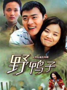 野鸭子 野鸭子