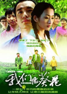 我们像葵花 我们像葵花