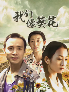 我们像葵花 我们像葵花