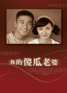我的傻瓜老婆 我的傻瓜老婆