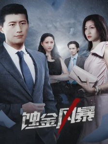 蚀金风暴 蚀金风暴