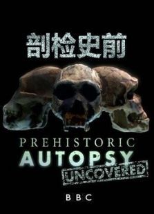 BBC剖检史前 BBC剖检史前