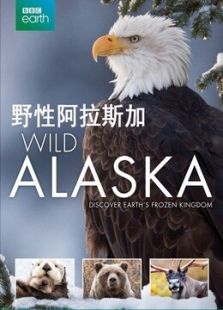 BBC野性阿拉斯加 BBC野性阿拉斯加