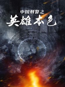 中国刑警之英雄本色 中国刑警之英雄本色