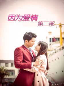 因为爱情有奇迹DVD版 因为爱情有奇迹DVD版