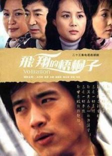 飞翔的梧桐子 飞翔的梧桐子