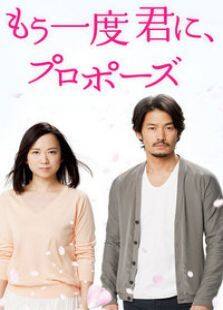 再一次向你求婚电视剧全集