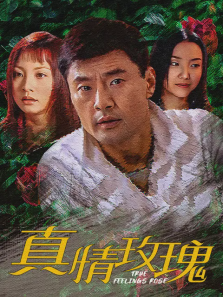 真情玫瑰 真情玫瑰