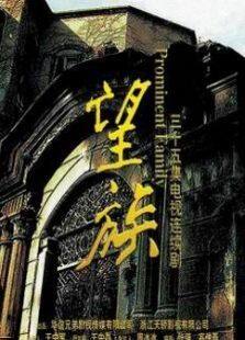 望族电视剧全集