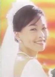 太阳花1998版 太阳花1998版
