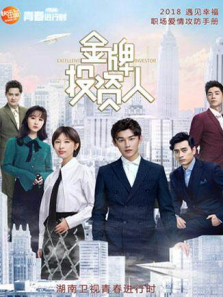 金牌投资人DVD版 金牌投资人DVD版