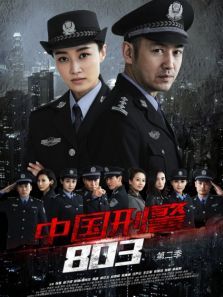 中国刑警803英雄本色 中国刑警803英雄本色