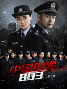 中国刑警803英雄本色 中国刑警803英雄本色