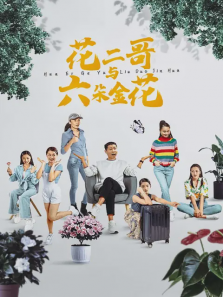 花二哥与六朵金花 花二哥与六朵金花