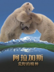 阿拉斯加荒野的精神 阿拉斯加荒野的精神