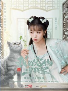 我的宠物少将军 我的宠物少将军
