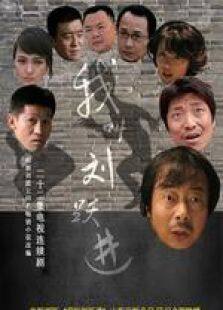 我叫刘跃进电视剧全集