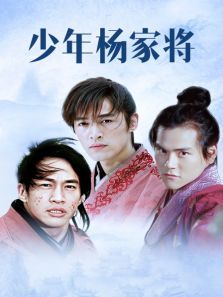 少年杨家将 少年杨家将