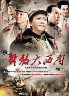 解放大西南 解放大西南
