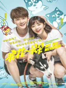 浪花一朵朵DVD版 浪花一朵朵DVD版