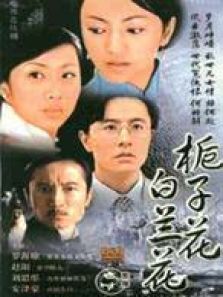 栀子花白兰花 栀子花白兰花