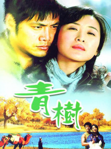 青树 青树