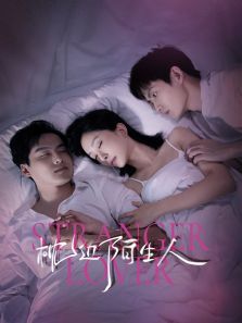 枕边陌生人 枕边陌生人