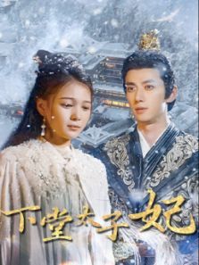 下堂太子妃 下堂太子妃