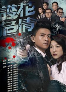 护花危情国语版 护花危情国语版