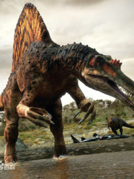 ԭʼ����������