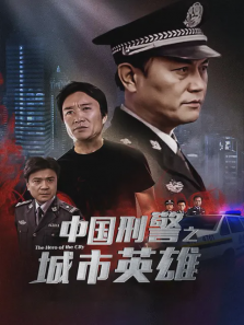 中国刑警之城市英雄 中国刑警之城市英雄