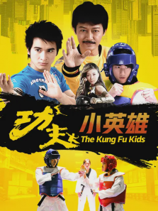 功夫小英雄 功夫小英雄