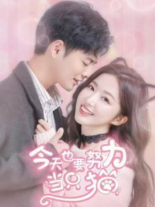 今天也要努力当只猫 今天也要努力当只猫