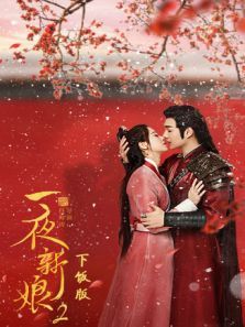 一夜新娘2下饭版 一夜新娘2下饭版